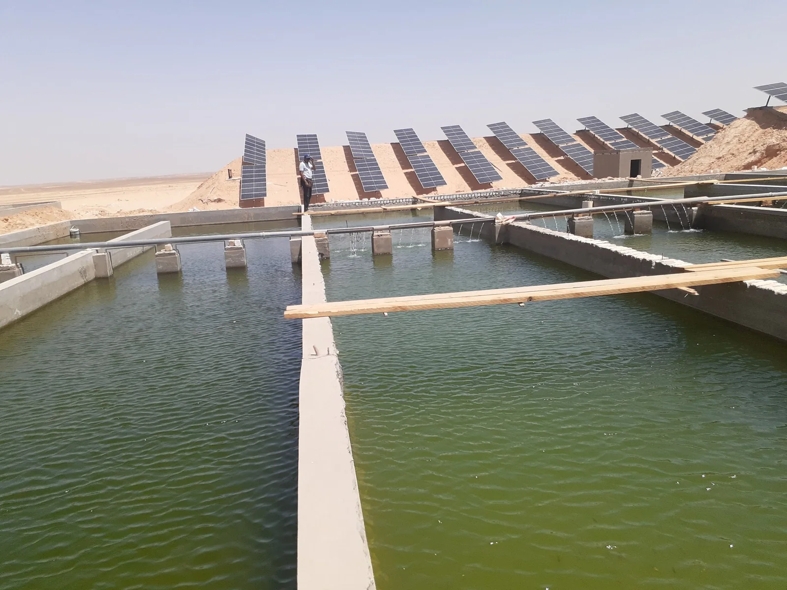 Fish-farming facilities at AlAwael World